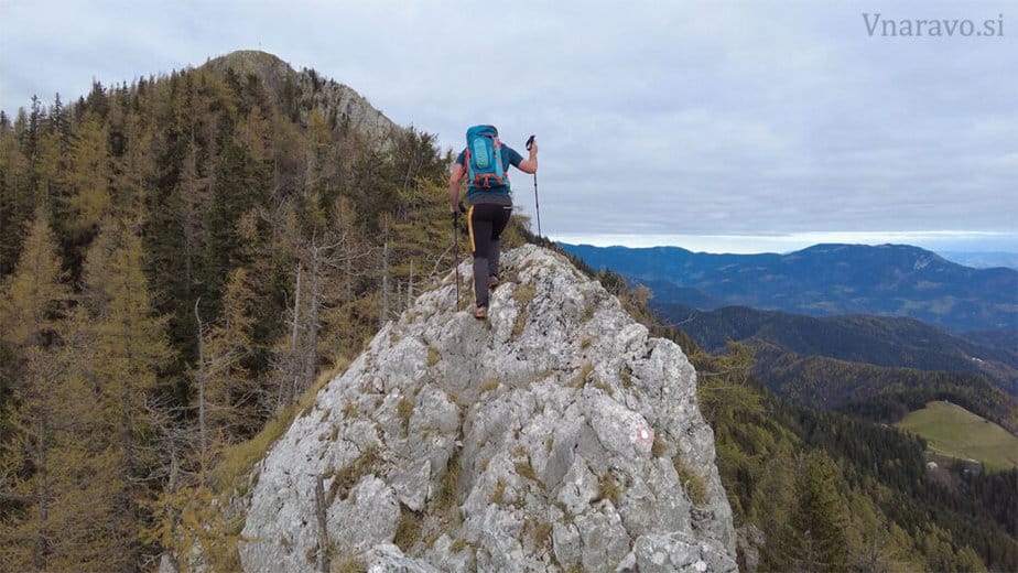 Rogatec in Lepenatka