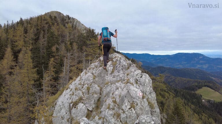 Rogatec in Lepenatka