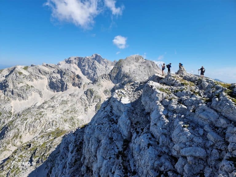 Bovški Gamsovec