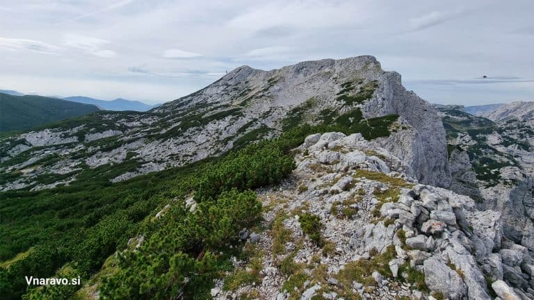 Veliki vrh (Veža) in Velika Zelenica