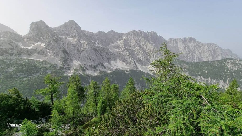 Zadnjiški Ozebnik