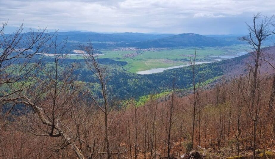 Veliki Javornik iz Rakovega Škocjana