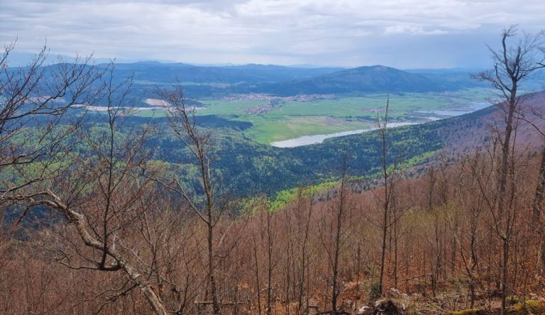 Veliki Javornik iz Rakovega Škocjana
