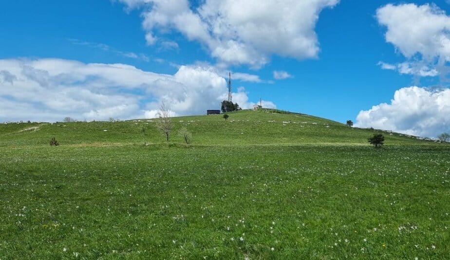 Slavnik iz Skadanščine