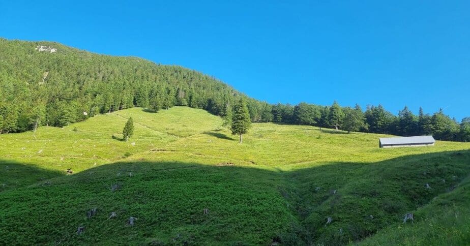Proti sedlu med Storžičem in Tolstim vrhom
