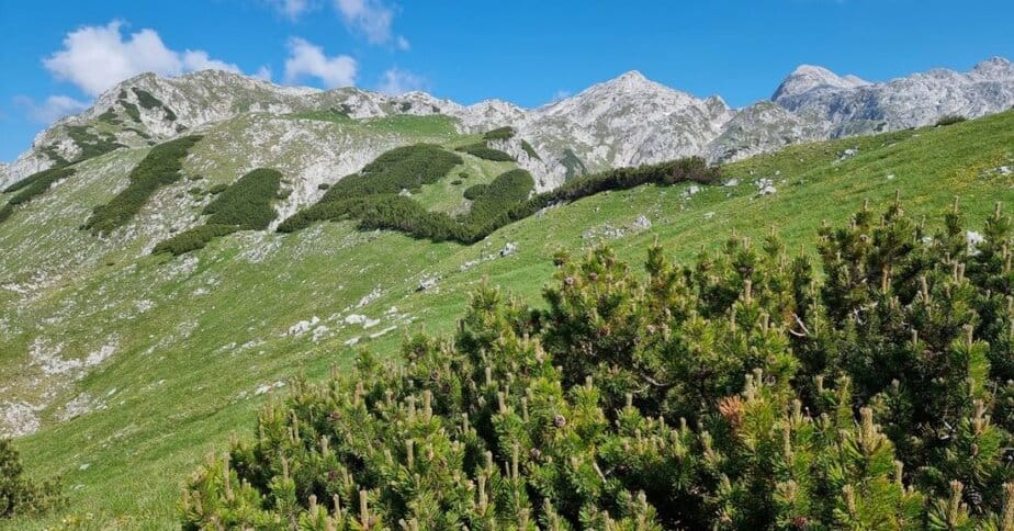 Sprehajanje po Kredi in Slatni je pravi pohodniška ekstaza