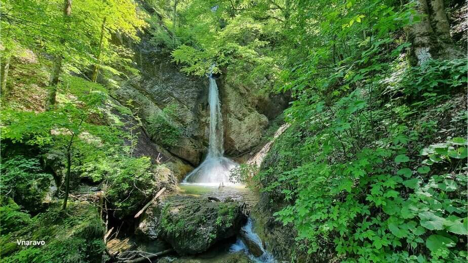 Obiščite Borovnico