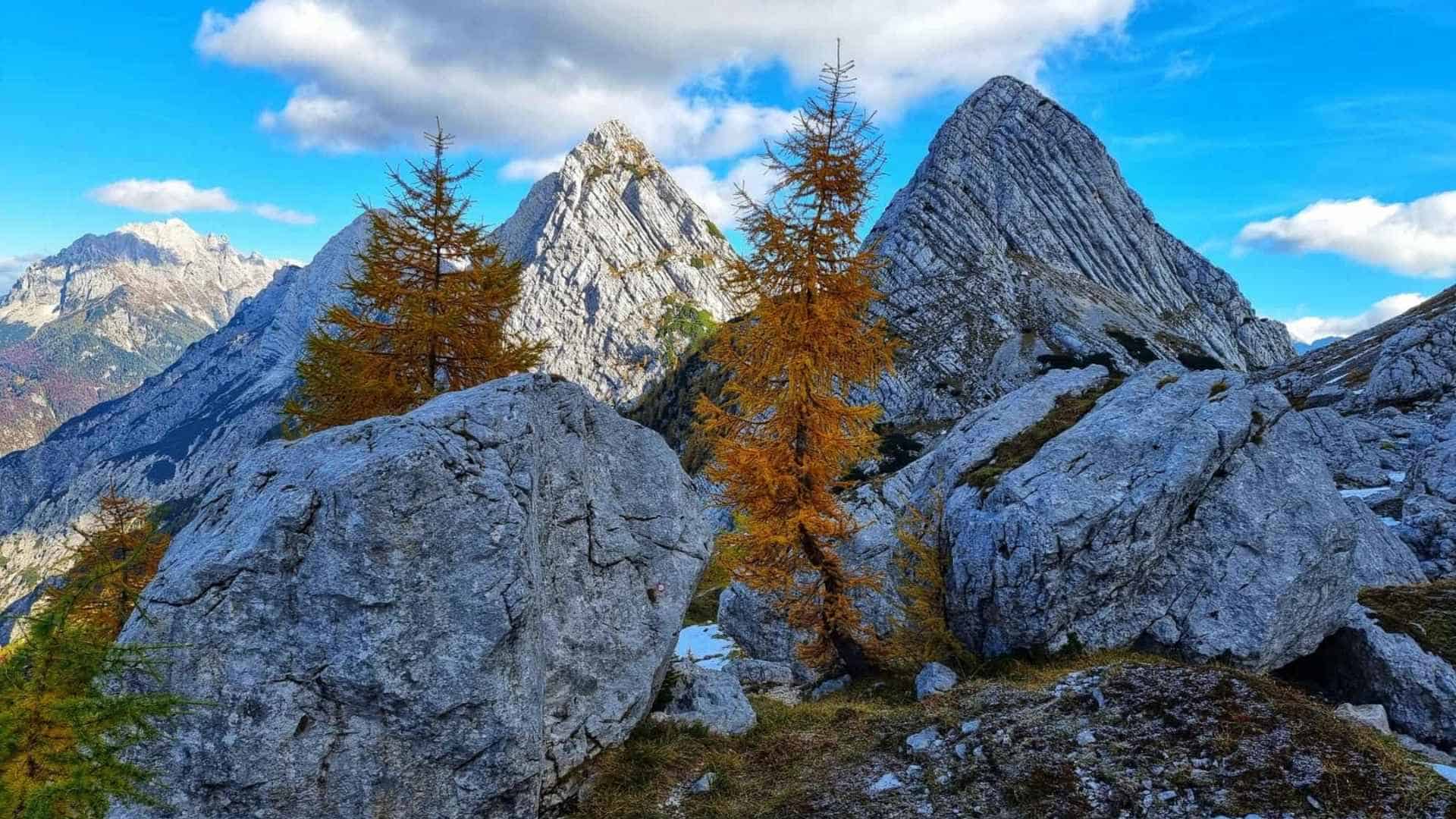 Zadnja Trenta