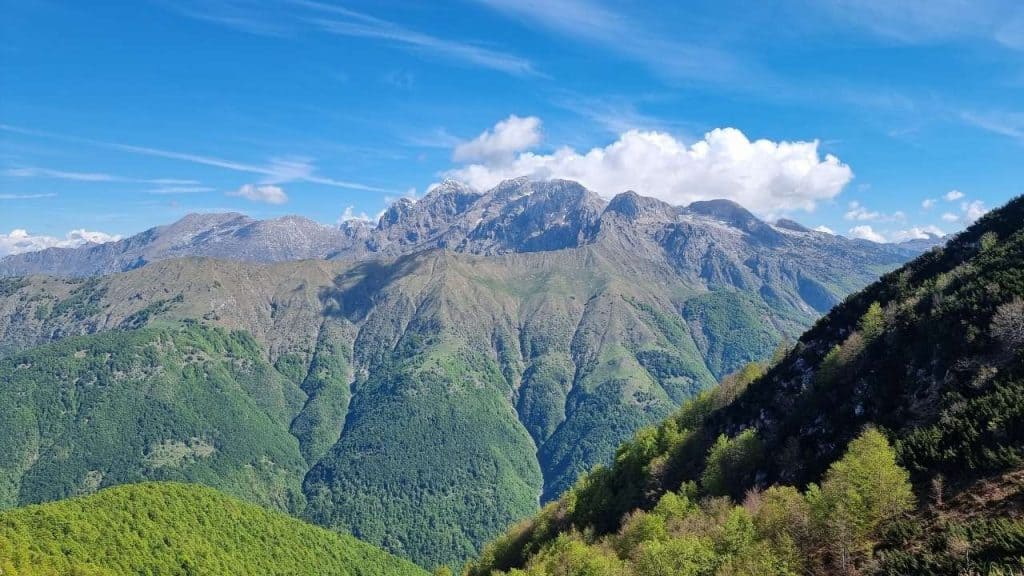 Pogled proti Kaninskemu pogorju