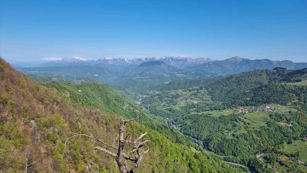 Pogled proti Julijskim alpam