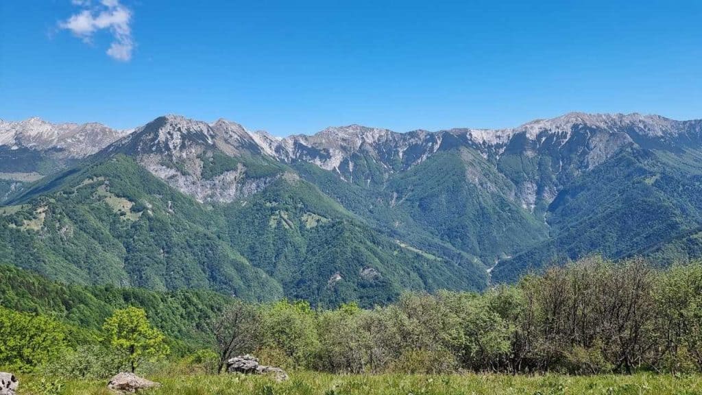 Pogled proti Tolminsko - Bohinjskem grebenu